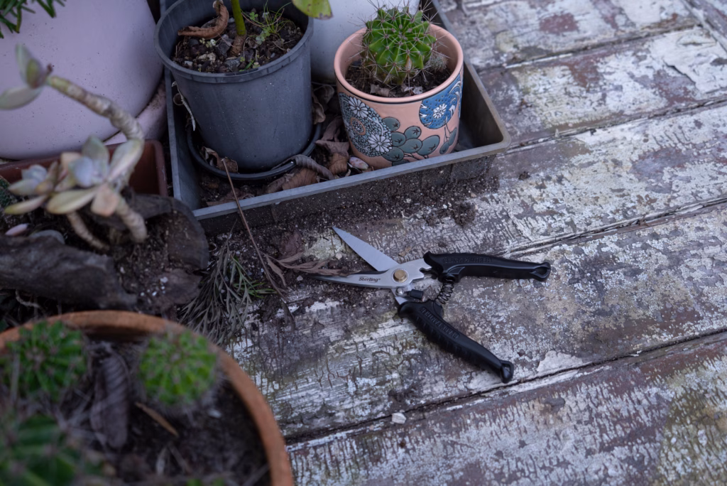 Do not leave your Black Panther Industrial Snips sitting in exposed areas like on the grass, in the soil or on concrete where moisture lingers.