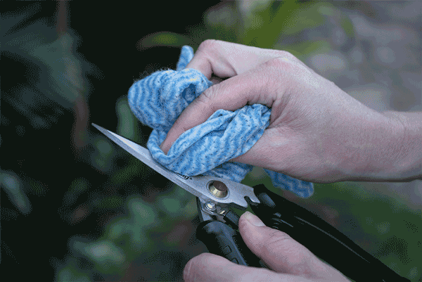 Make sure to give your Black Panther Industrial Snips a quick wipe down with a clean, slightly damp cloth or paper towel.